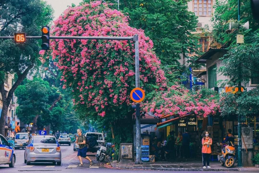 Tropical Land Little Hanoi Homestay Exteriér fotografie