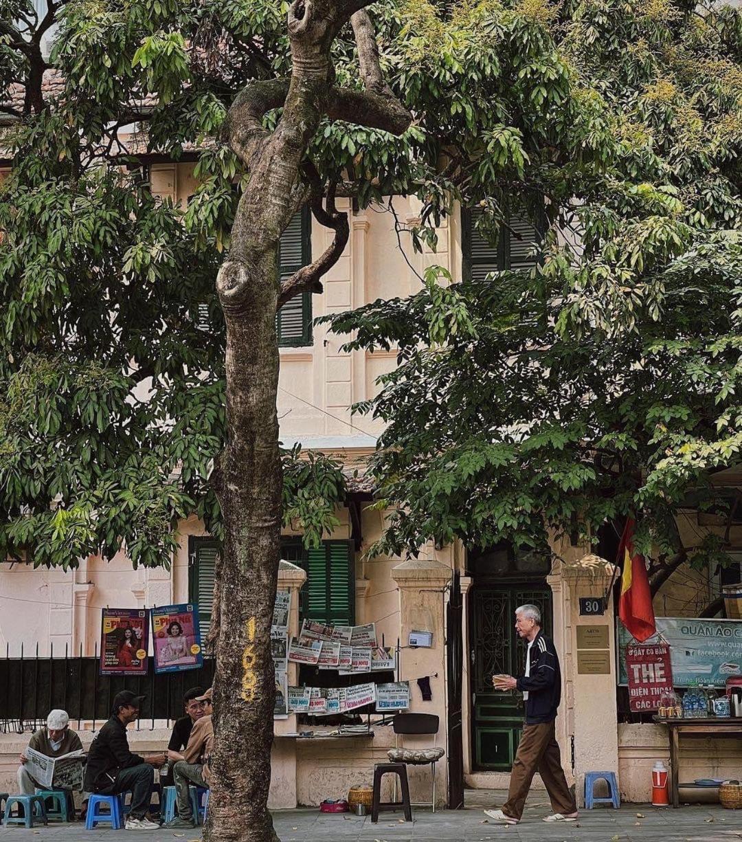 Tropical Land Little Hanoi Homestay Exteriér fotografie