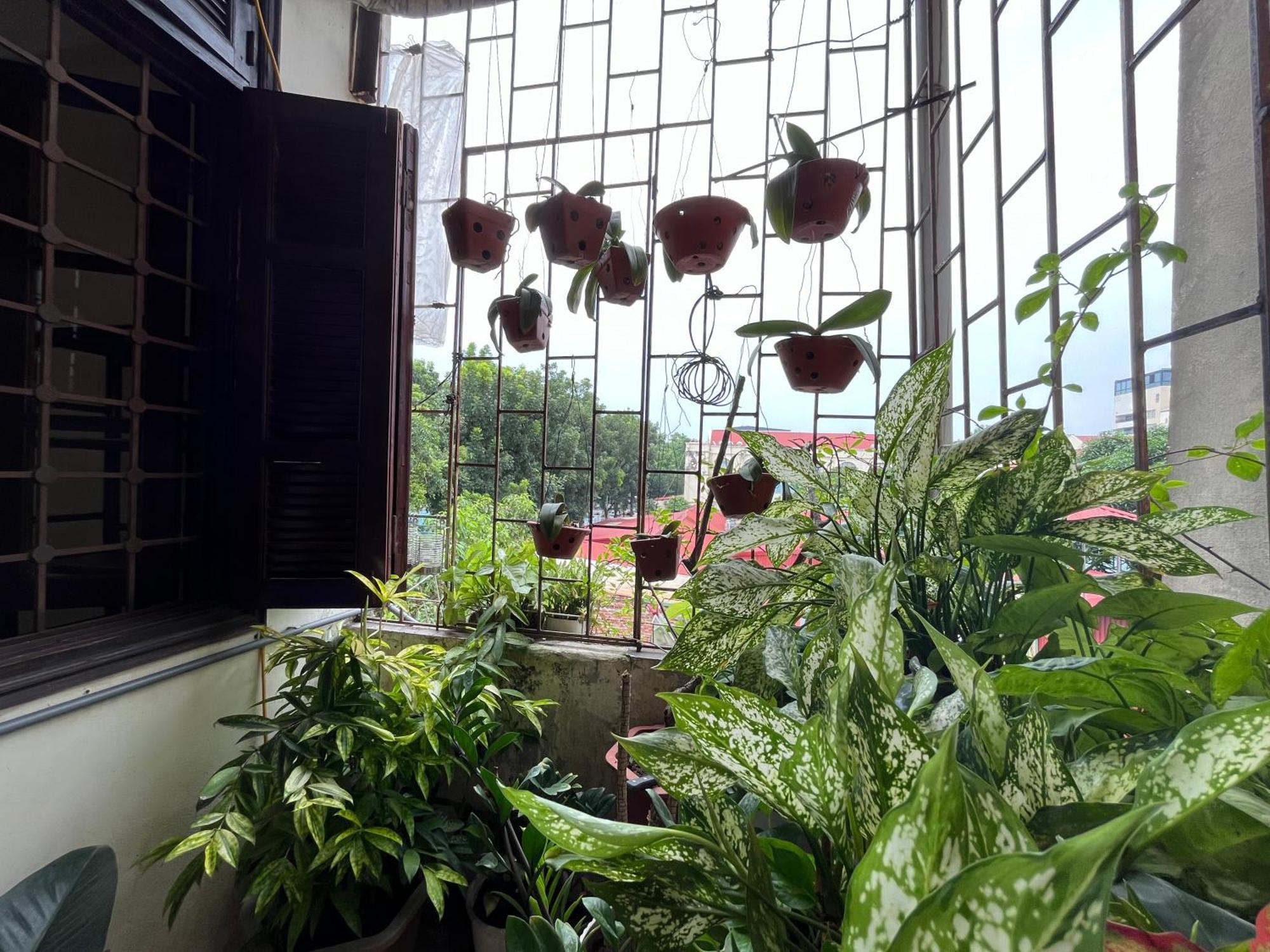 Tropical Land Little Hanoi Homestay Exteriér fotografie
